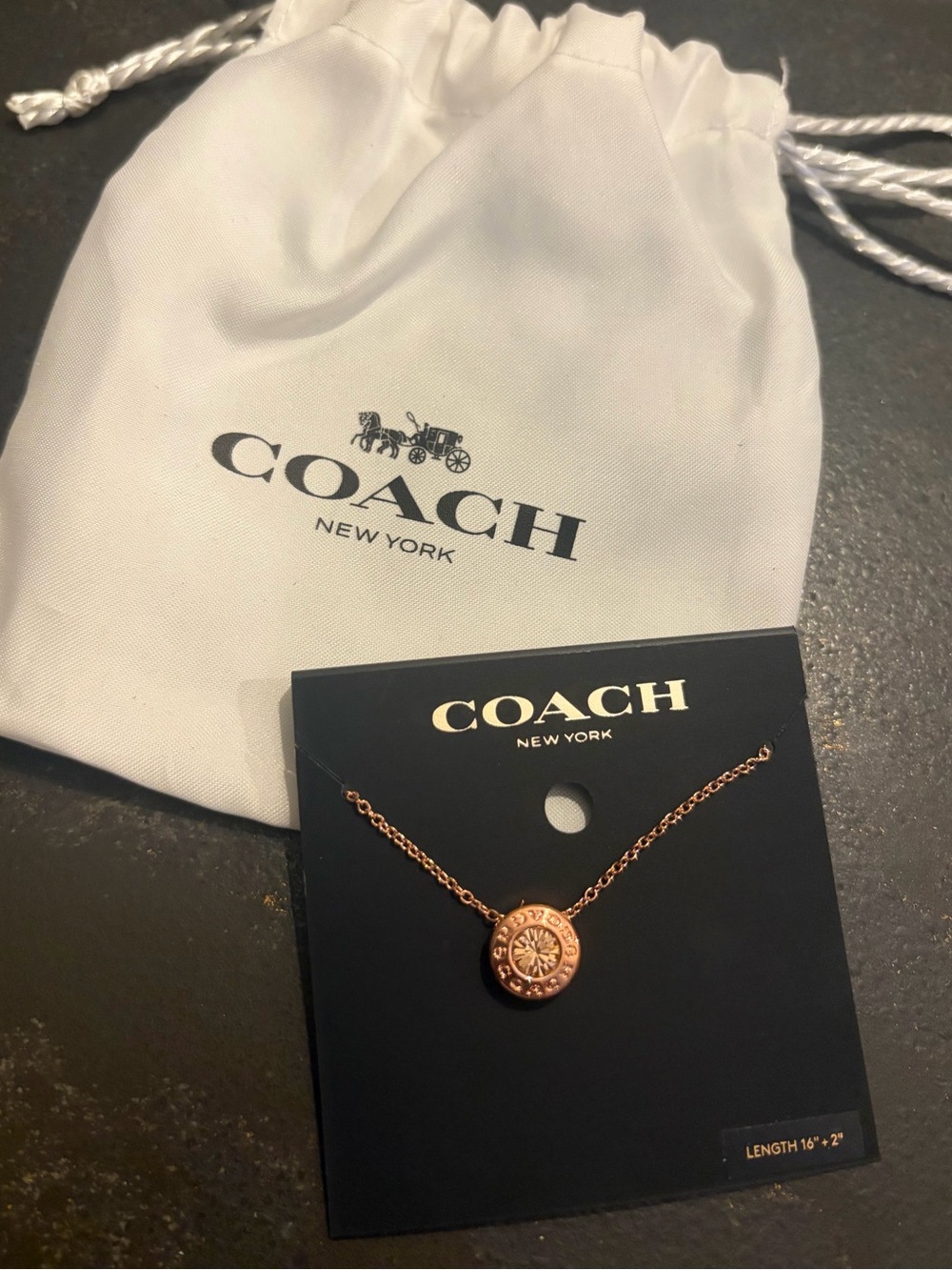 COACH Rose Gold Compass Medallion Necklace
